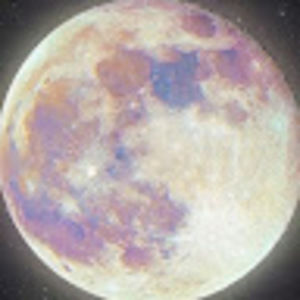 Meet your Posher, Karl